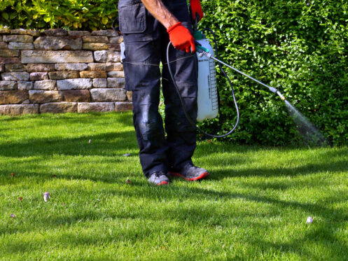How Often Do I Need to Schedule Regular Pest Inspections?